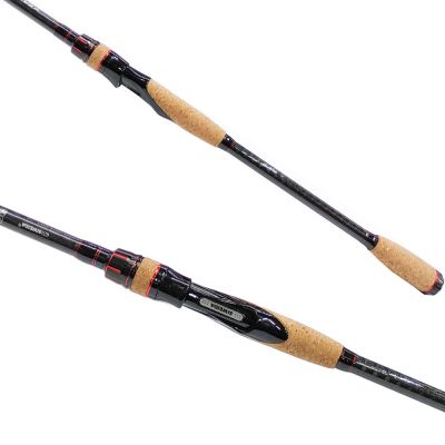 Спининг въдица Siweida Arrow 40T 2.50м 10-48г