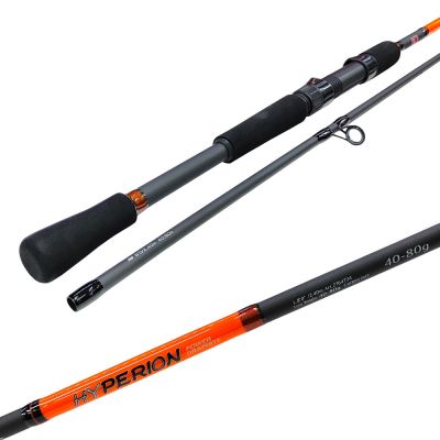 Спининг въдица RS Hyperiоn Power Graphite 2.40м,40-80г