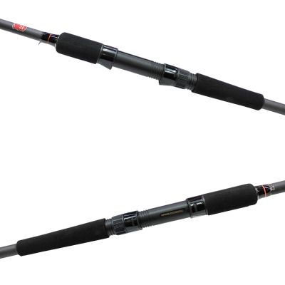 Спининг въдица RS Hyperiоn Power Graphite 2.40м,40-80г