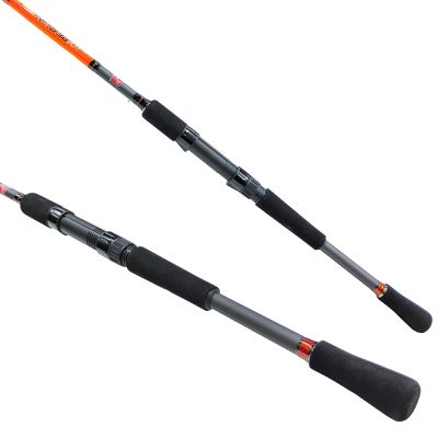 Спининг въдица RS Hyperiоn Power Graphite 2.90м,40-80г
