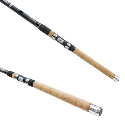 Телескопична въдица Siweida Little Shark 4.20м 30-60гр.